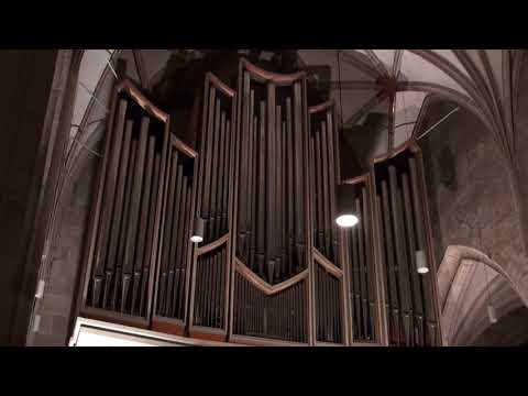 Arnolt Schlick: Maria zart