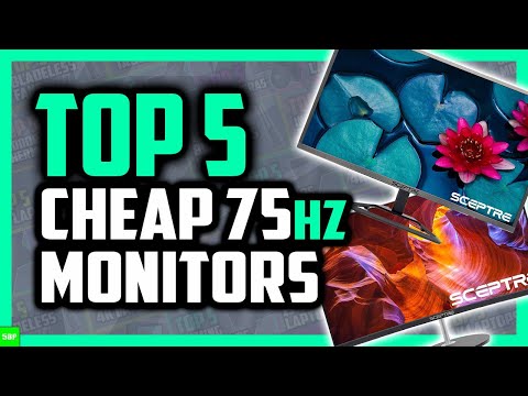Best Budget 75Hz Monitors in 2020 (Cheap 75Hz Monitors Under $200)