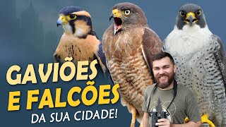Miniatura do vídeo