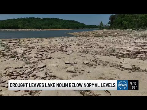 Water Level At Nolin Lake