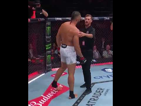 UFC video artwork