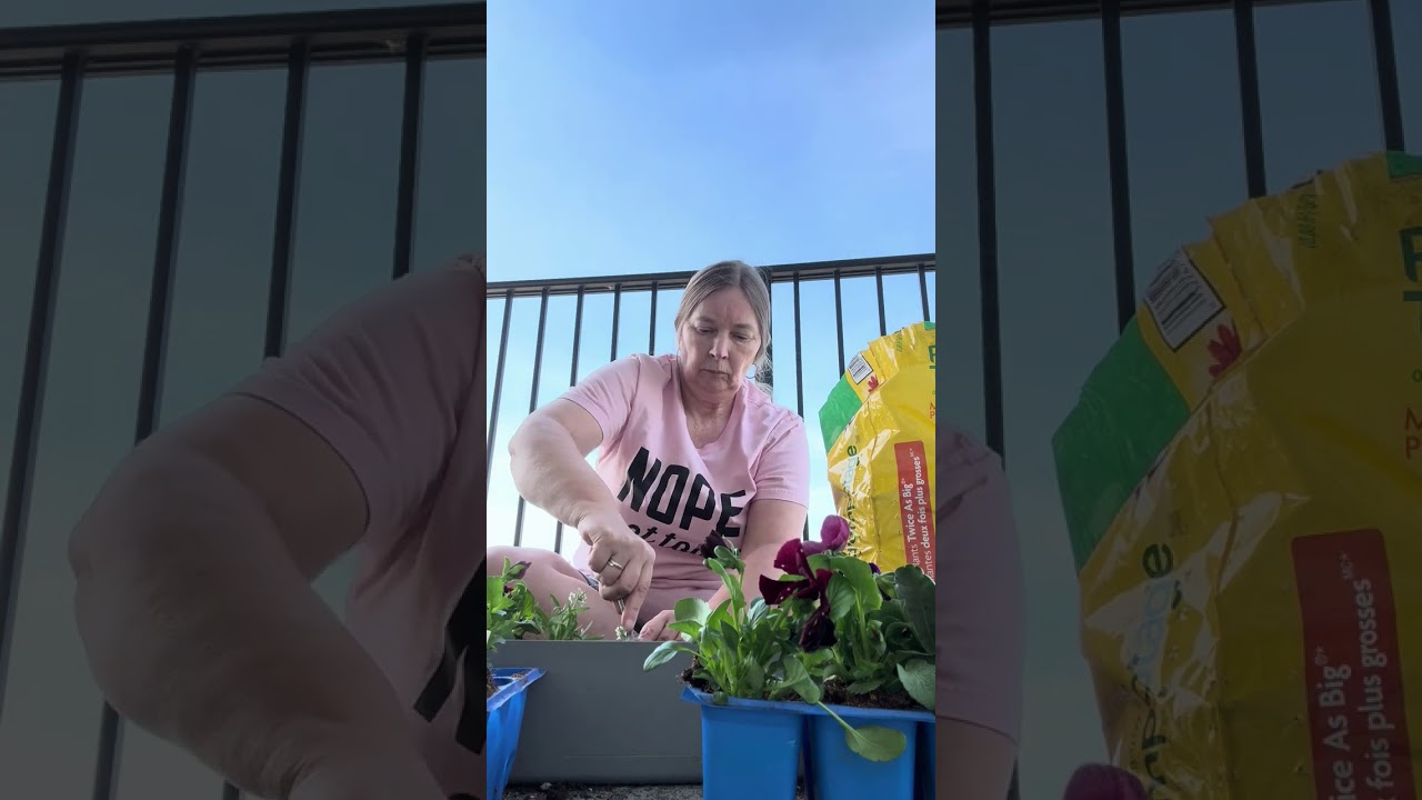 My simple island life: Spring flowers 🌺 & fresh air 