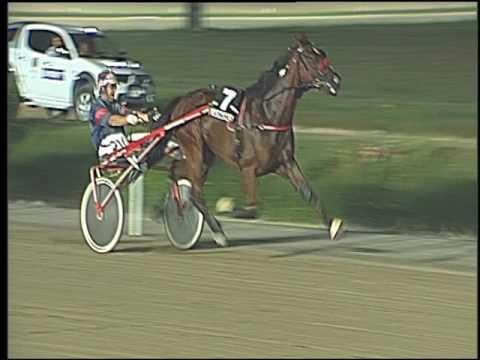 Trotto 30/07/2016 - 6° corsa TRIS