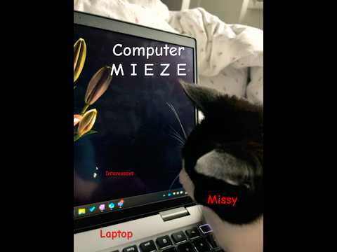 Short #633 | Computer MIEZE schnurrt zufrieden