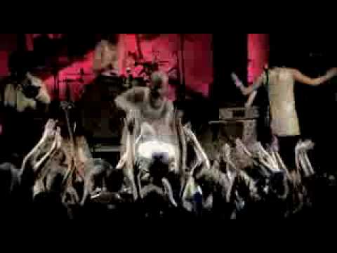 Shantel // Authentic