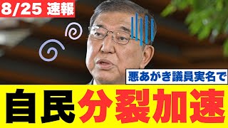 【極秘情報】自民党内で起きている"異常事態"の全貌…石破首相を救った「謎の議員グループ」が隠す本当の狙いとは？