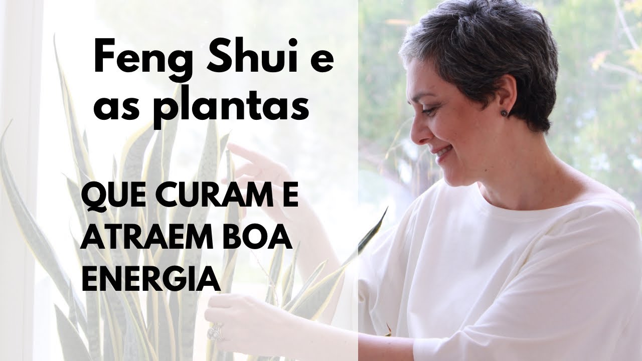 🌱FENG SHUI E AS PLANTAS QUE CURAM A CASA E ATRAEM BOA ENERGIA.