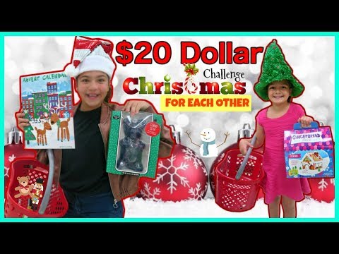 $20 CHRISTMAS SHOPPING CHALLENGE FOR EACH OTHER "TARGET" SISTER FOREVER Video
