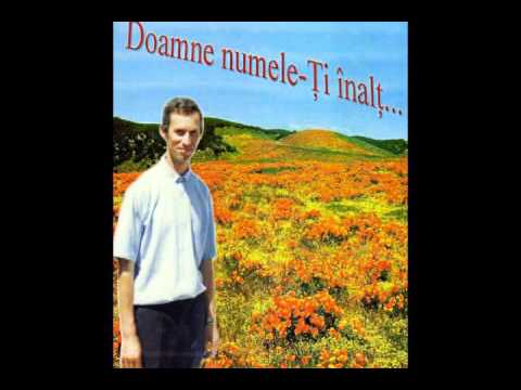 N-ai asemănare/Grigorie Vartic