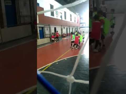 Enzo treino raposa da leste