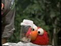 Sesame Street Watching A Caterpillar Turn Into A Butterfly