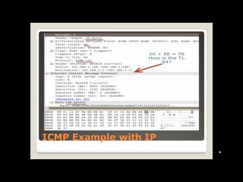 The Art of Exploitation - Networking (Ch4)