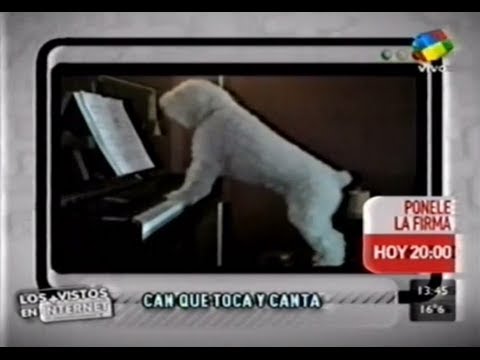 Sin Codificar 2011: Lo más visto en internet  8-5-2011