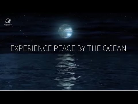 Witness21  2023 11 24