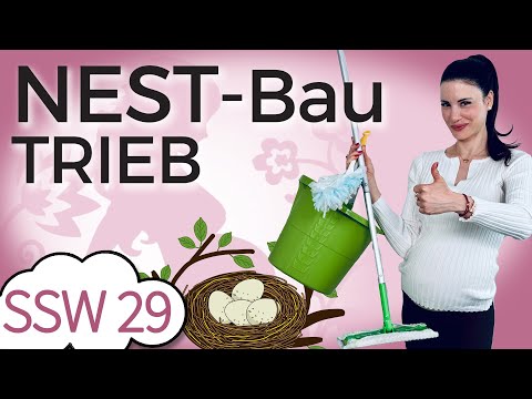 SSW 29: Jetzt kickt der Nestbautrieb richtig! | Mein Kinderwunsch