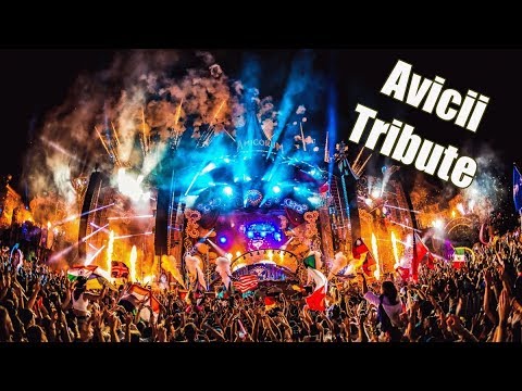 David Guetta: Titanium VS Avicii: Hey Brother (Afrojack Mashup) - Tomorrowland 2018