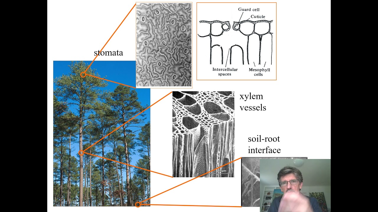 Ecohydrology 01-- Introduction