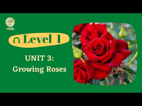 Unit 3: GROWING ROSES.