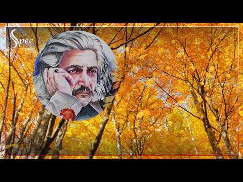 پایز  باست حمه‌ خه‌ریب بۆجه‌نه‌راڵی پایز