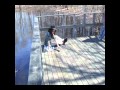 Adventures Of Huck Finn Chapter 6 7