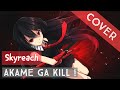 Akame Ga Kill! opening (skyreach Tv size) cover ...