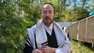 Explore Hilchos Ribis with Rabbi Pinches Wind, one of the world's top experts in this field!