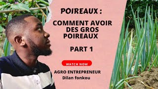 Poireaux : comment reussir la culture du poireaux      part 1( comment faire la pépinière)