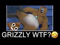 GRIZZLY TRY NOT TO LAUGH 12