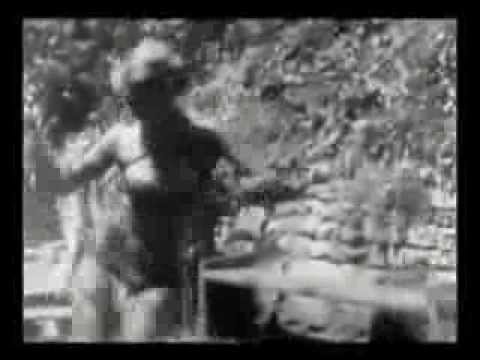 The 5.6.7.8's - Jane In The Jungle