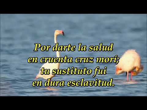 222 Del trono celestial