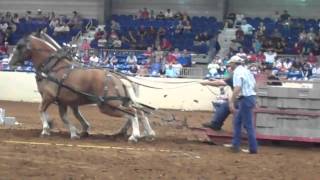 preview picture of video 'Ed Smock winning the Tulsa Draft Horse Pull with Flash & Doc.'