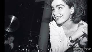The Sugarcubes (bjork) Live Irvine Meadows Amphitheater 16th June 1989  14 Motorcrash