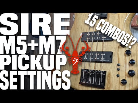 Sire M5/M7 Pickup Settings - Looking at all 15 DIFFERENT pickup settings! - LowEndLobster Fresh Look