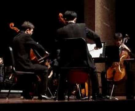 Apocalyptica cover - Romance video thumbnail