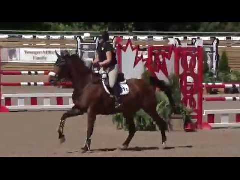 Cento Dinero 1.10m Angelstone 2016