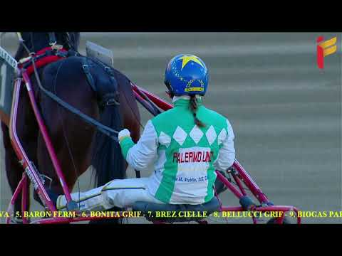 VII Corsa del 18 dicembre 2021 - Finale Campionato Italiano Gentlemen  IV prova  4 Anni - Metri 1600