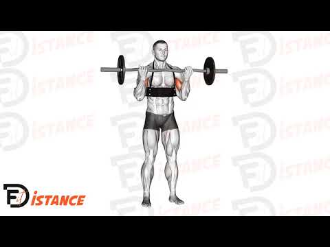 Exercice Curl biceps avec barre EZ (avec arm blaster)