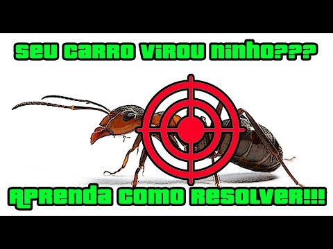 O ATAQUE DAS FORMIGAS MALDITAS!!! COMO SE LIVRAR DESSE MAL?