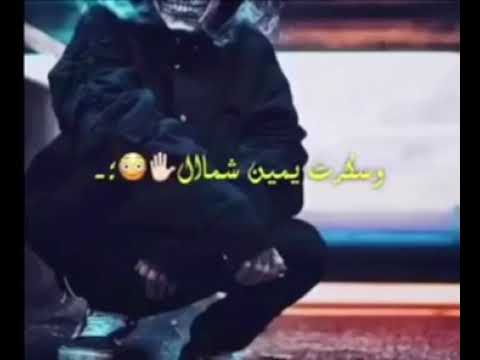 Arab falcon system/سستم صقر العرب