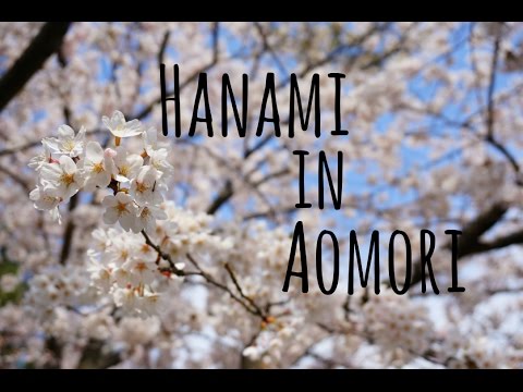青森で花見をしてみた (Hanami in Aomori City, Japan)