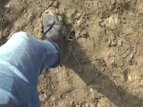 Comuna Amarasti, o comuna de secol trecut!