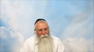 (שיעור 5)הדרך להעלות את הרמה המוסרית - פרשת נח - הרב חיים קמרי - פרשת השבוע