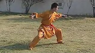 Shaolin big power kung fu (pao quan) + part 3 A