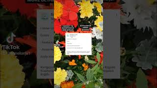 Download lagu check out this LinkedIn profile for more info: 🌸 Singapore Jobs. mp3 Download lagu check out this LinkedIn profile for more info: 🌸 Singapore Jobs. mp3