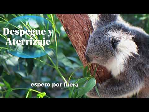 Ojosyboca - Vomitspit I: Marsupial (Full EP)