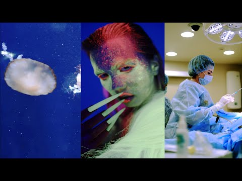 Introduction to: Fluorescence Anisotropy