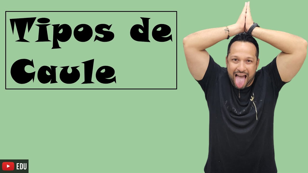 Tipos de Caule - Características e Exemplos - Morfologia Vegetal - Botânica