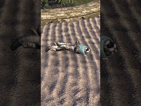 Important things happening in Elsweyr #eso