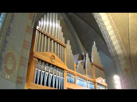 Marko Hakanpää - Fantasia "Herra, kädelläsi" / Fantasy "Lord, on Your Hand"