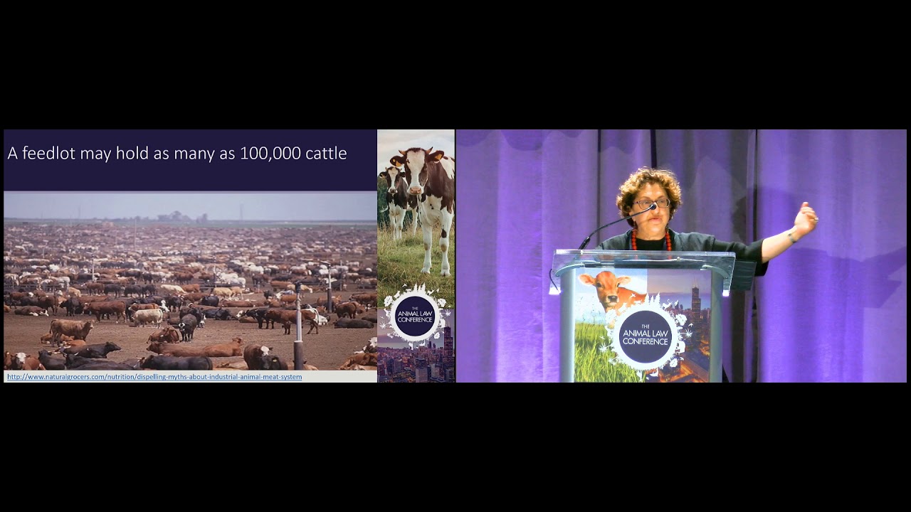 Farmed Animals: Getting to Know Your Client